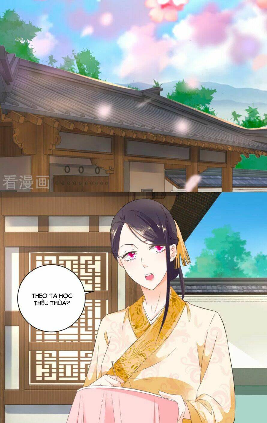 page_17.jpg