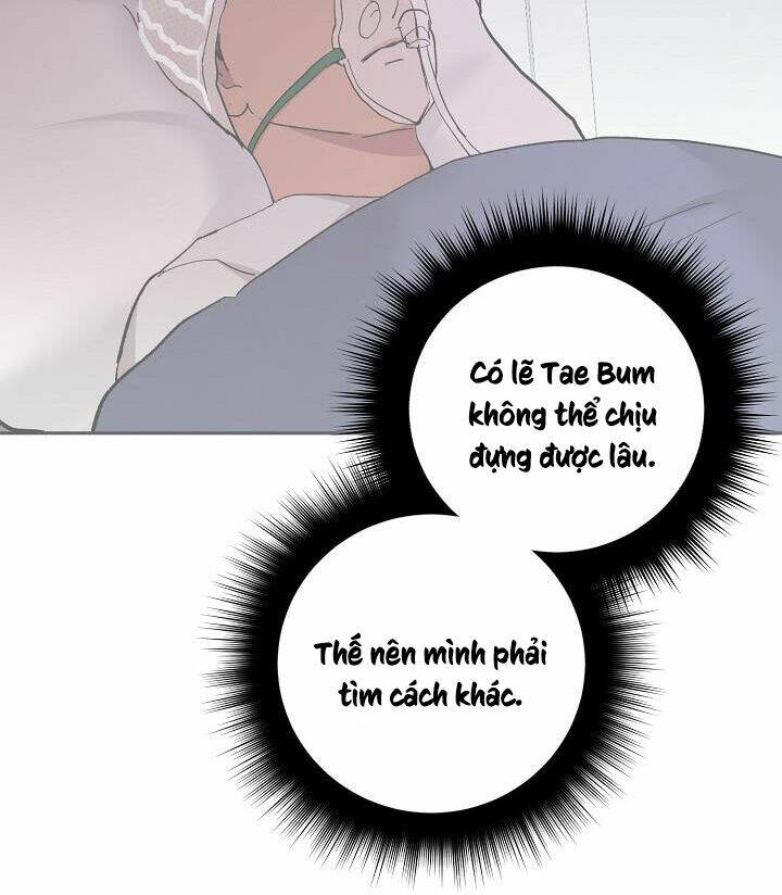 page_18.jpg
