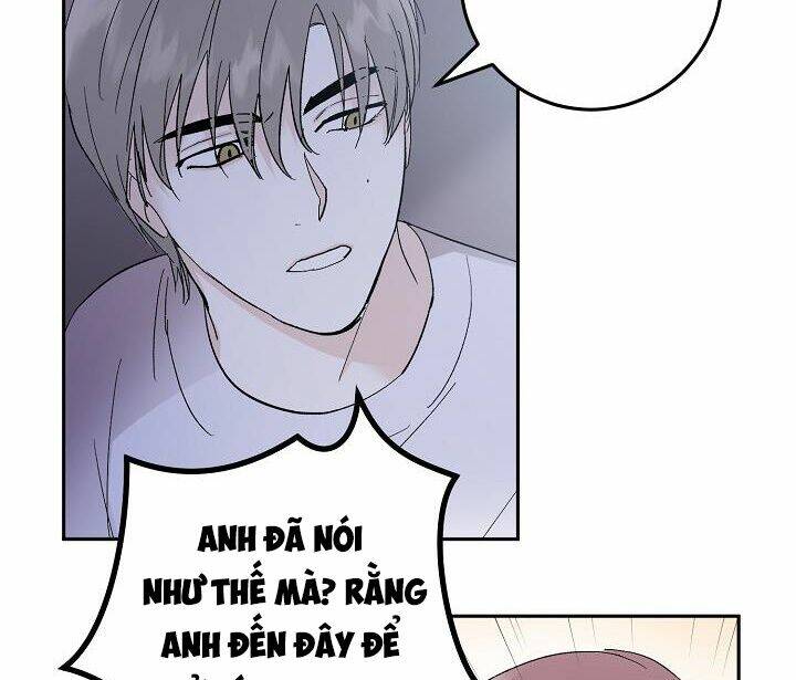 page_29.jpg