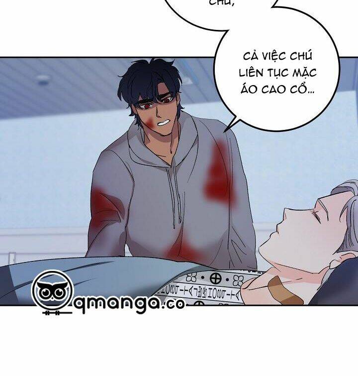 page_20.jpg