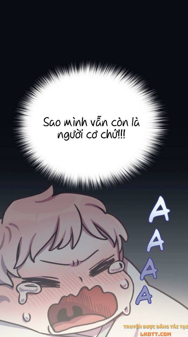 page_46.jpg