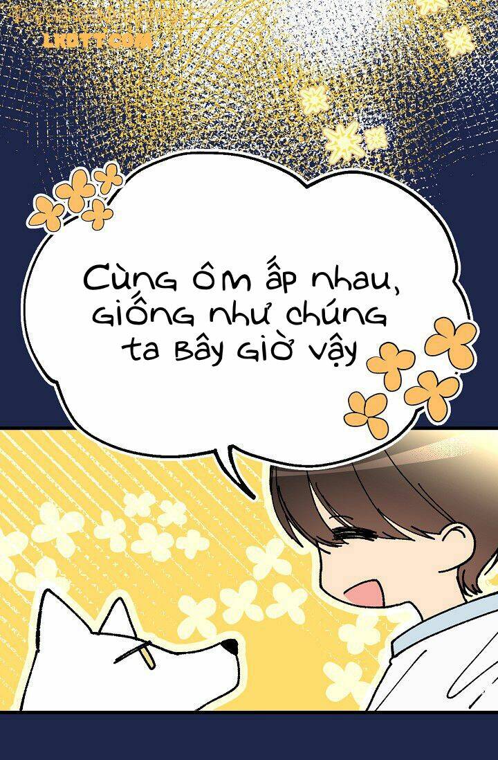 page_19.jpg