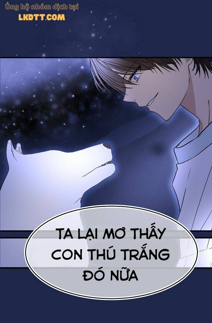 page_41.jpg