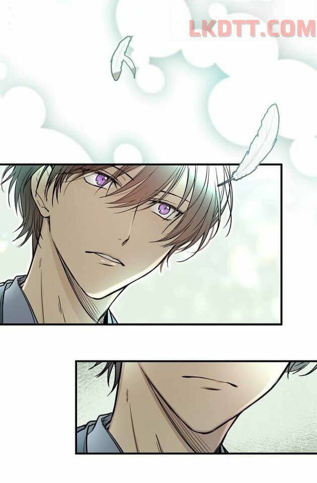 page_28.jpg