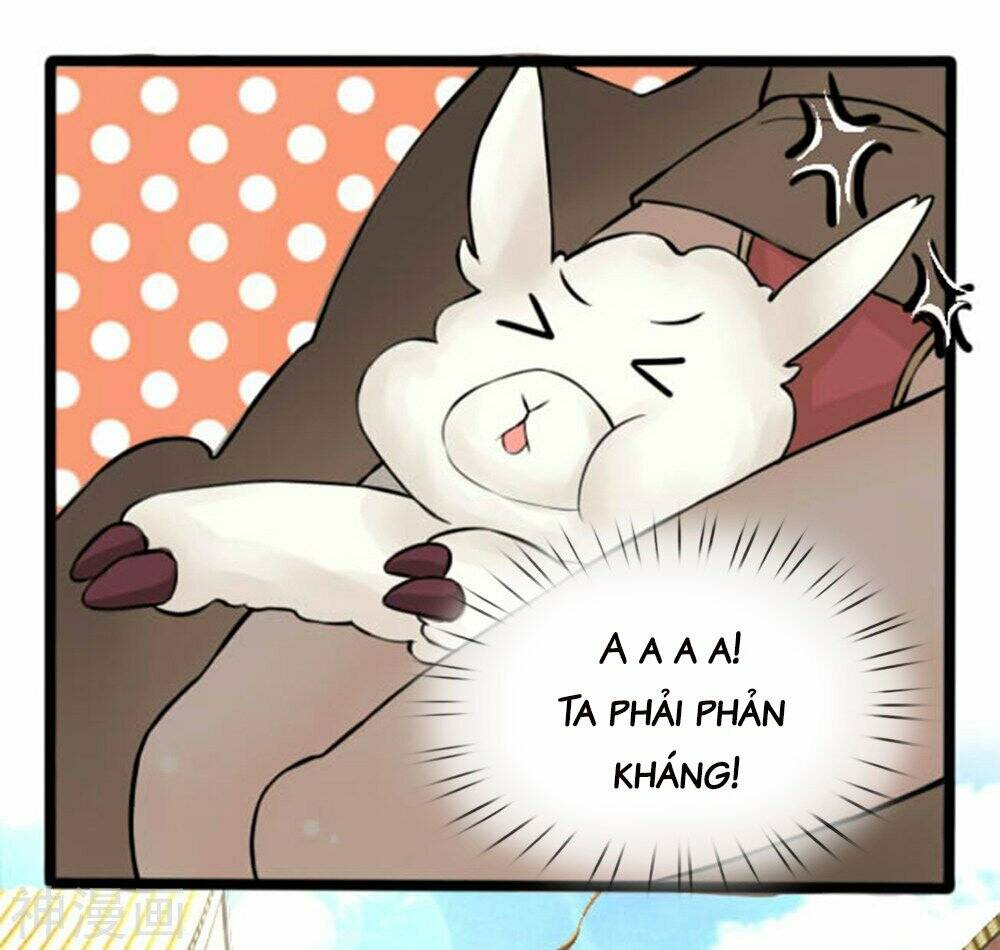 page_8.jpg