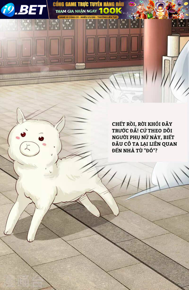 page_8.jpg