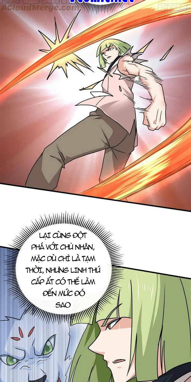page_19.jpg