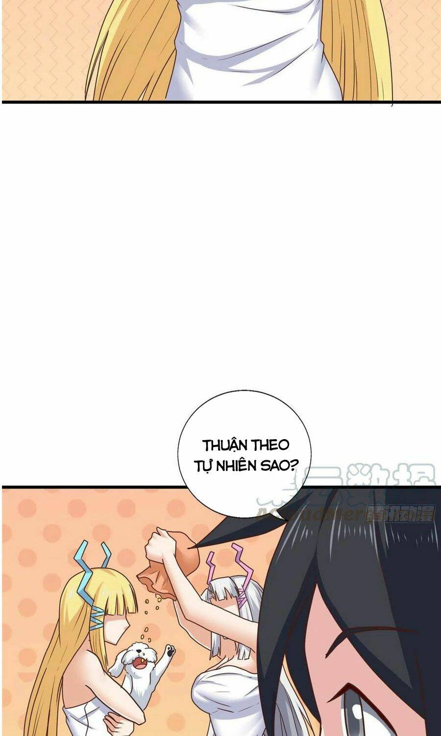 page_11.jpg