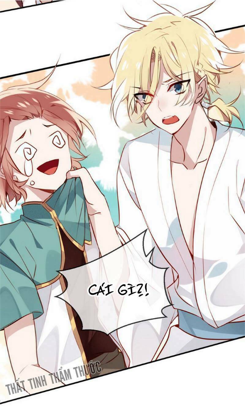 page_14.jpg