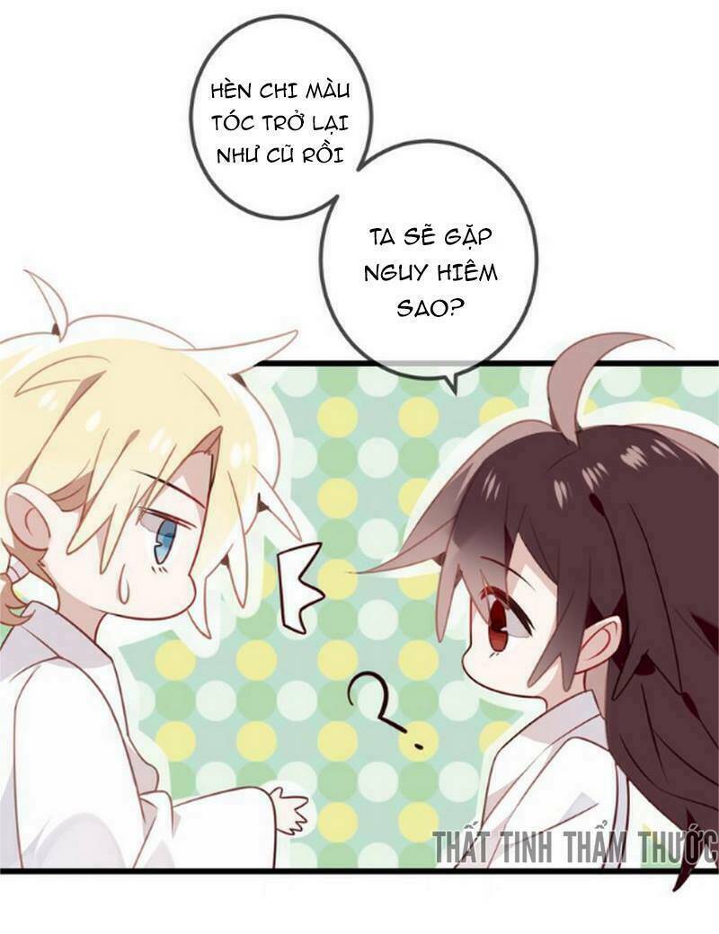 page_14.jpg