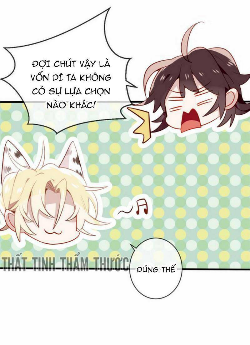 page_43.jpg