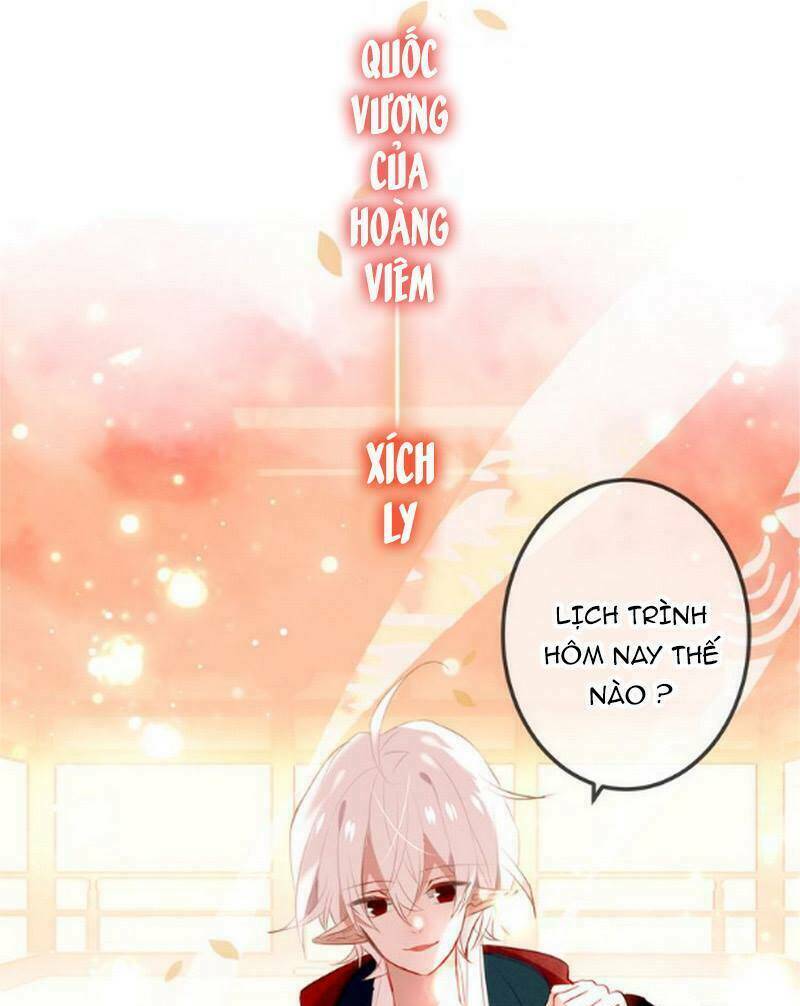page_14.jpg