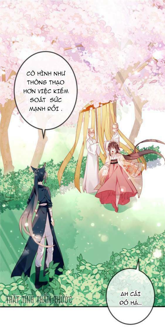 page_19.jpg