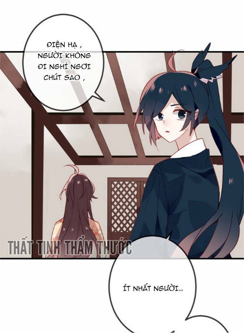 page_16.jpg