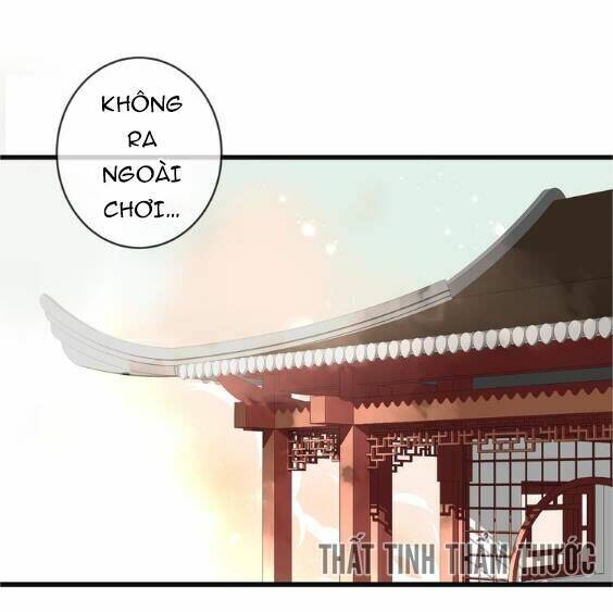 page_32.jpg