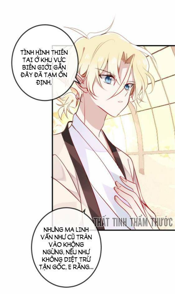 page_17.jpg