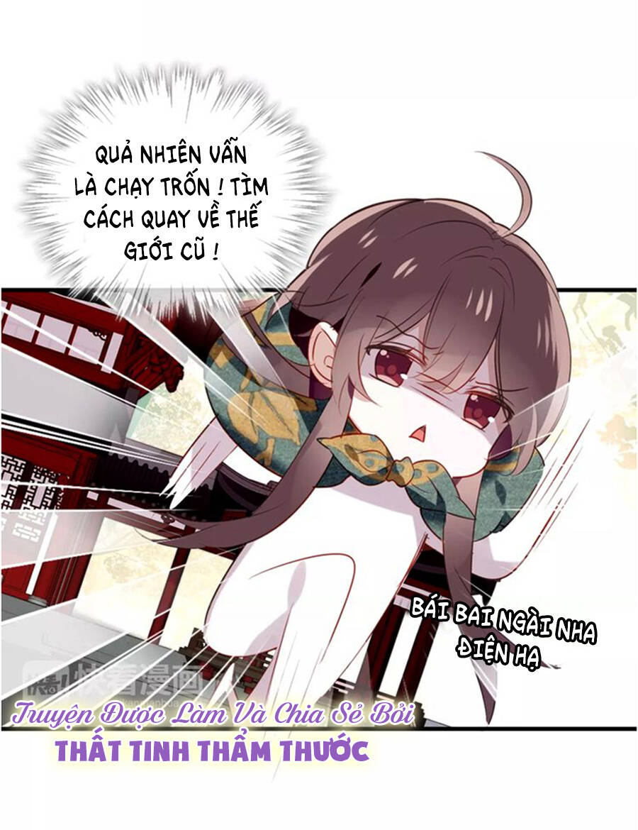page_41.jpg