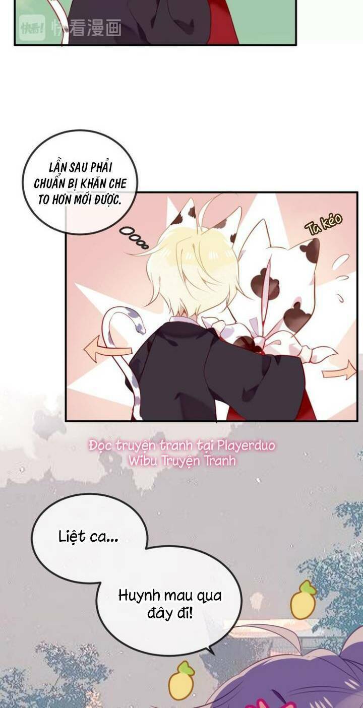 page_19.jpg