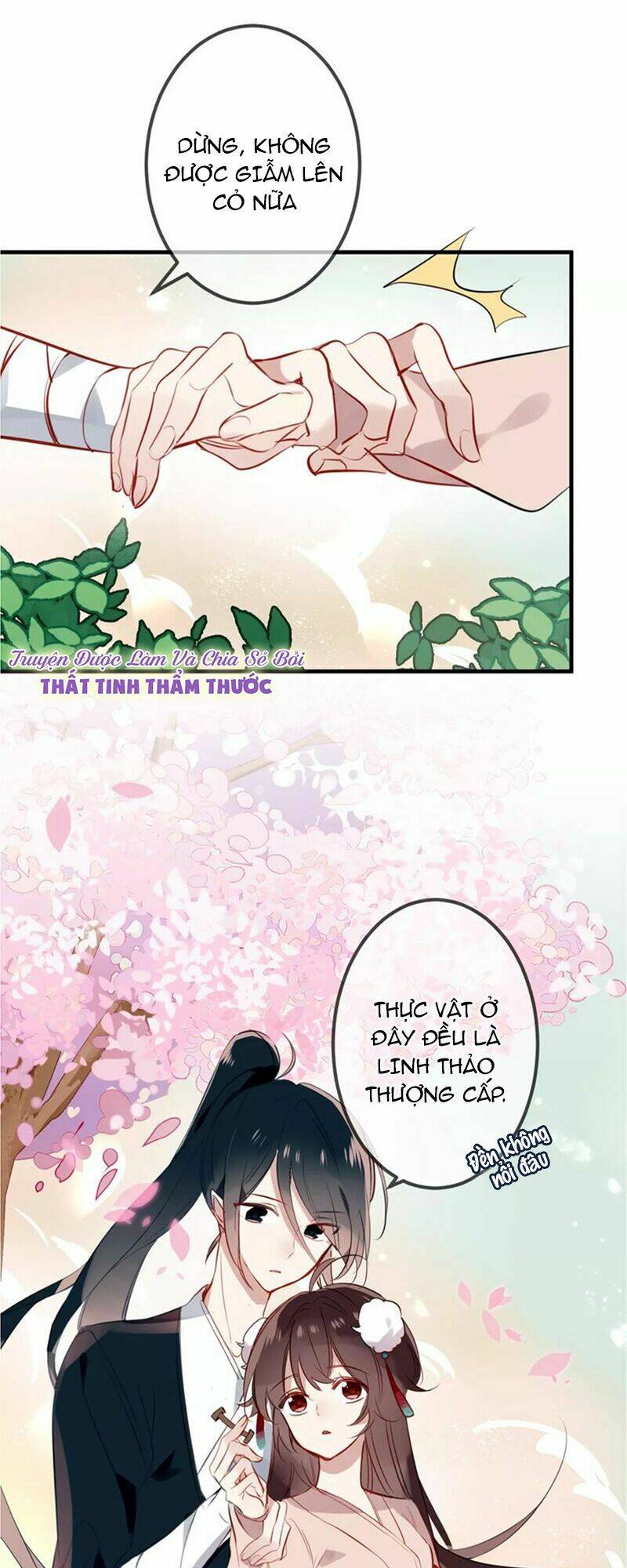 page_28.jpg