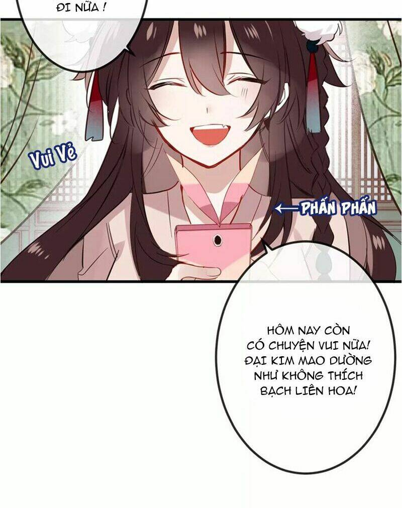 page_21.jpg