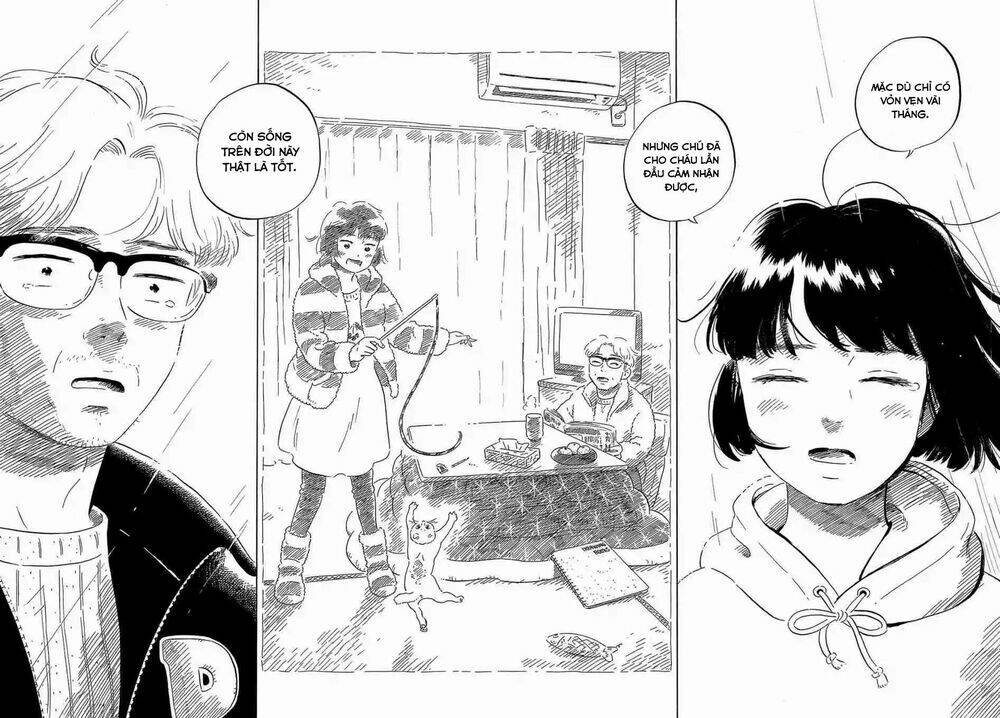 page_20.jpg
