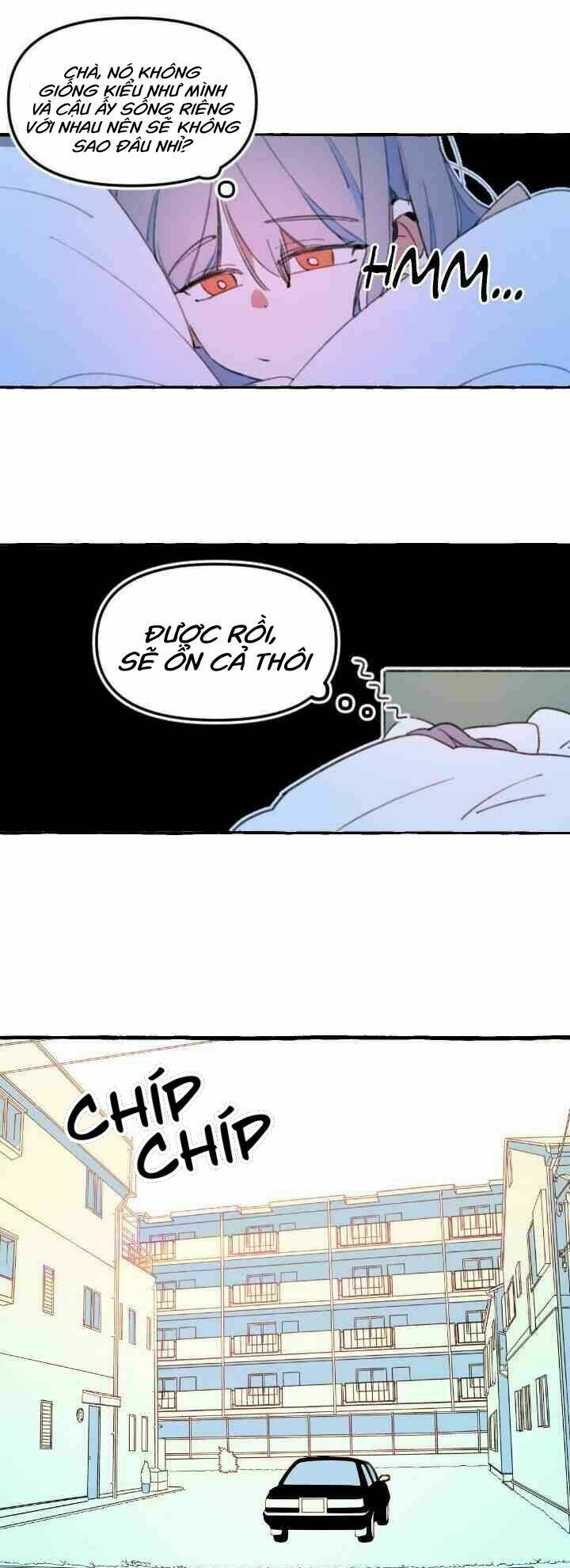 page_24.jpg