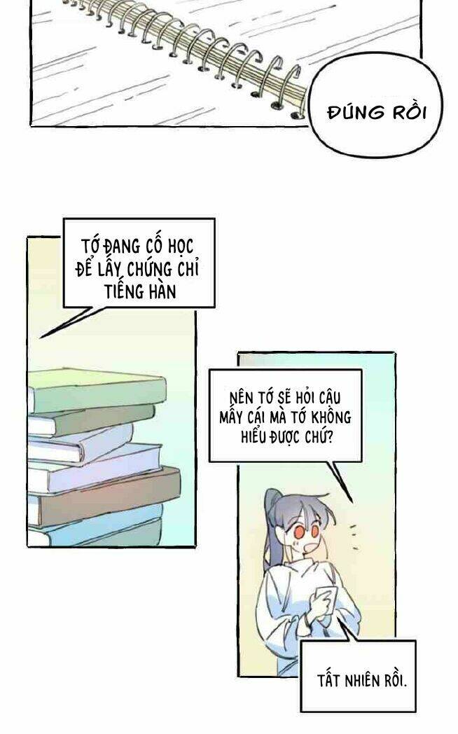 page_21.jpg
