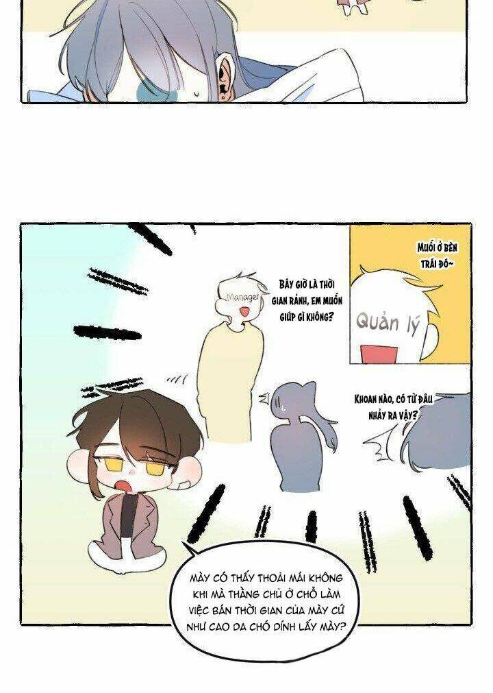 page_21.jpg