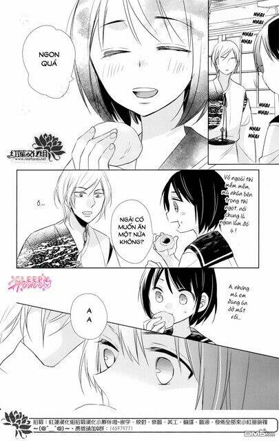 page_17.jpg