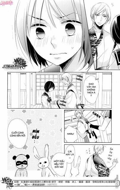 page_19.jpg
