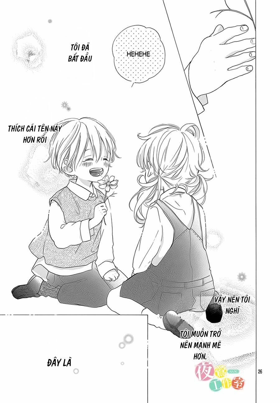 page_28.jpg