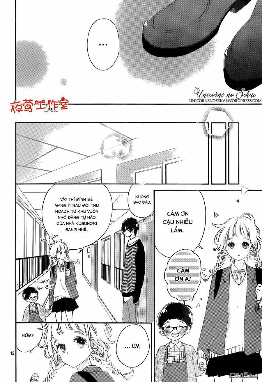 page_14.jpg