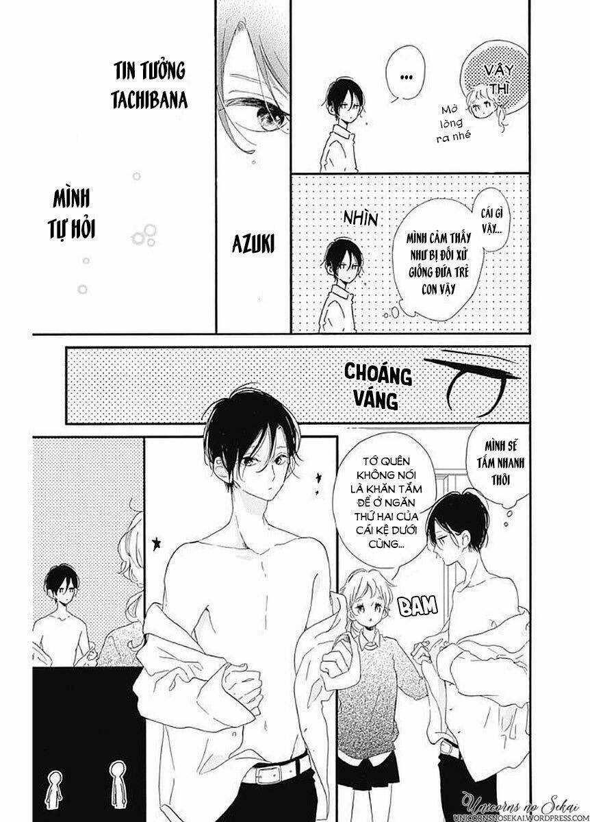 page_19.jpg