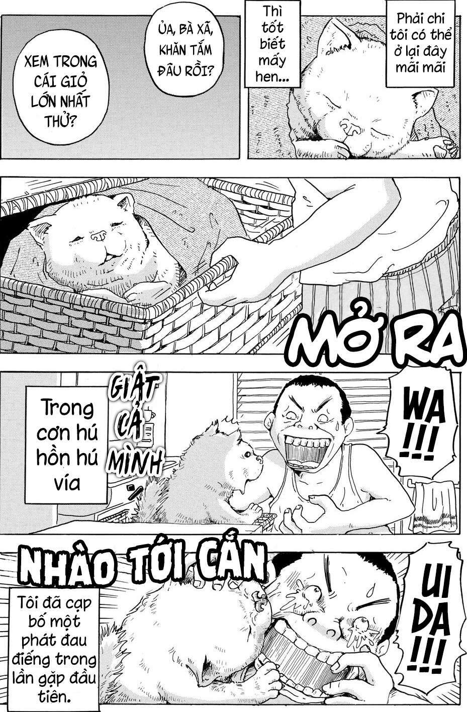page_10.jpg