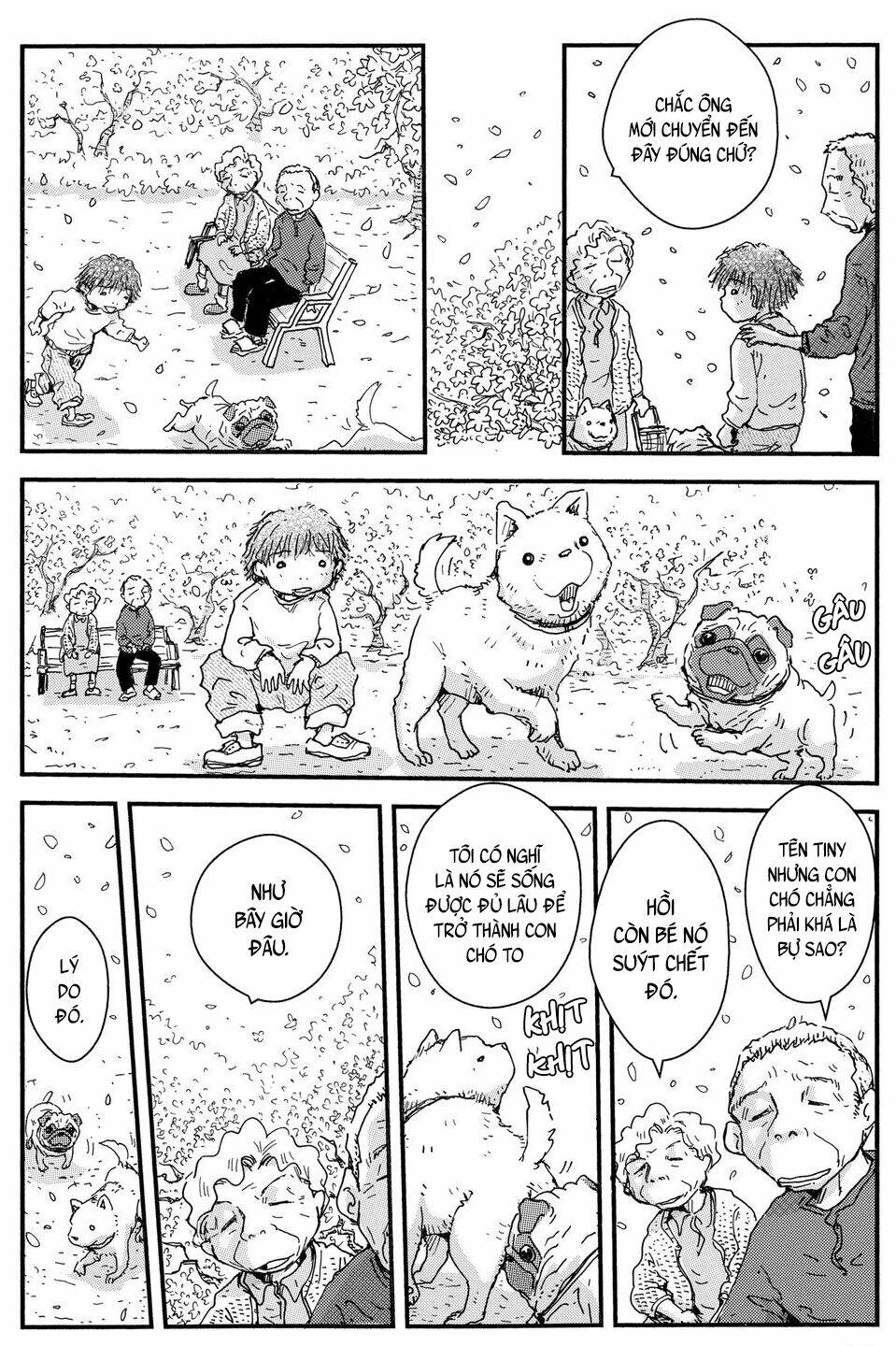 page_27.jpg