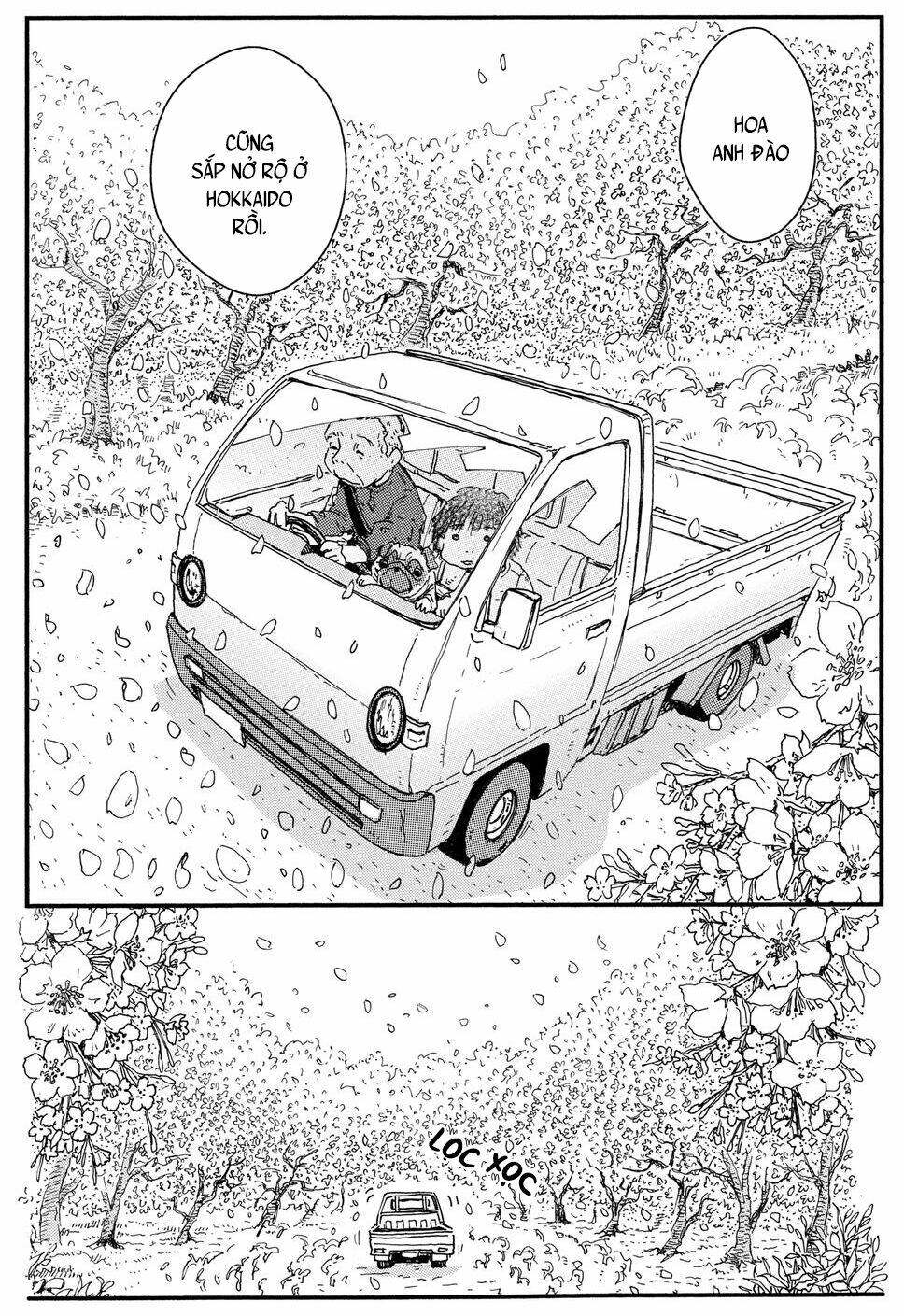 page_31.jpg
