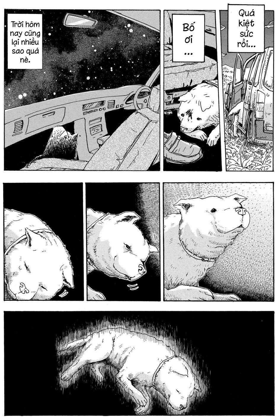 page_20.jpg