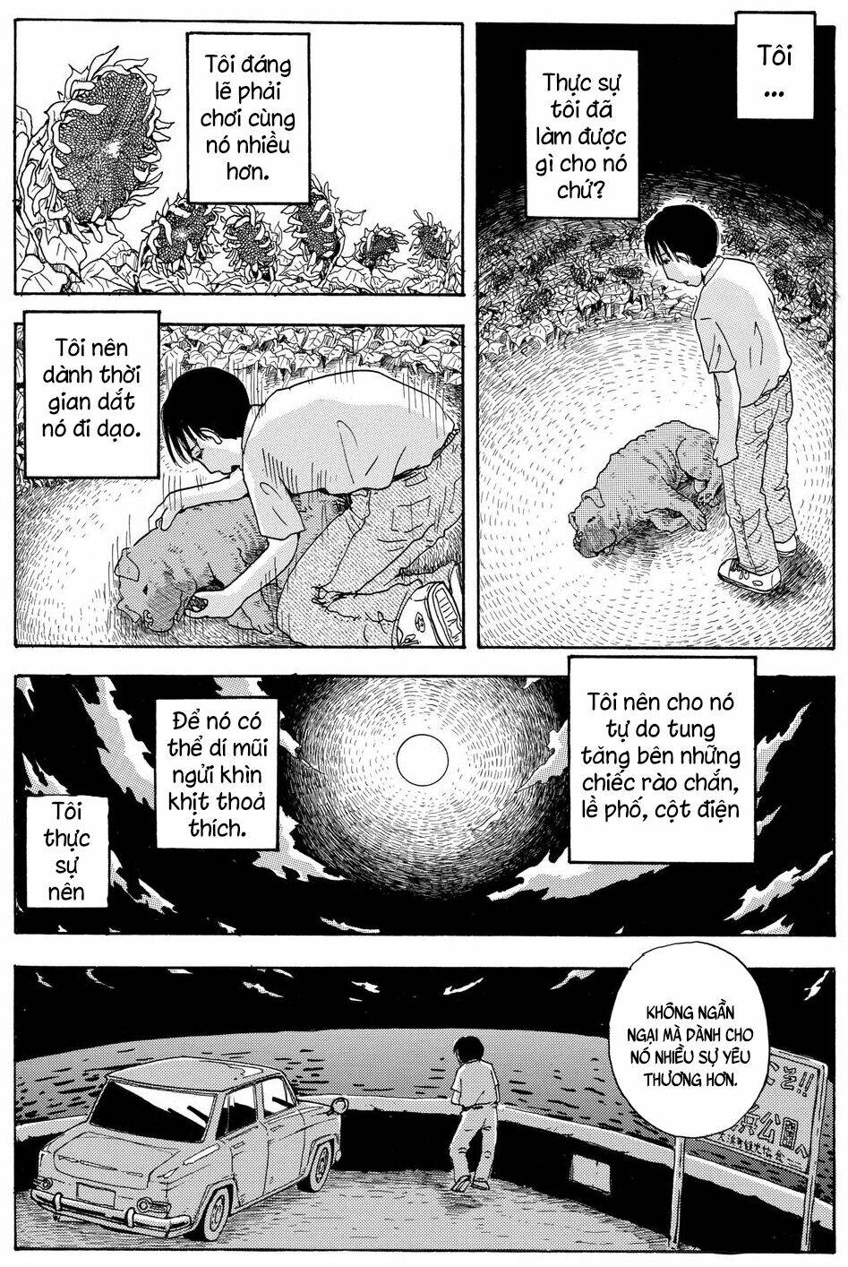 page_19.jpg