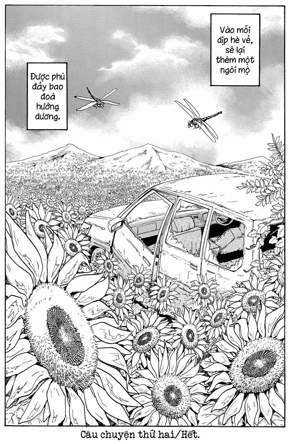 page_25.jpg