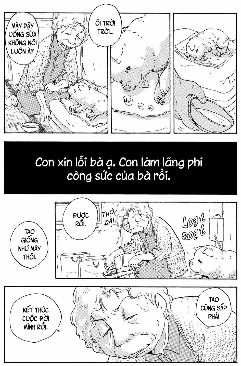 page_14.jpg