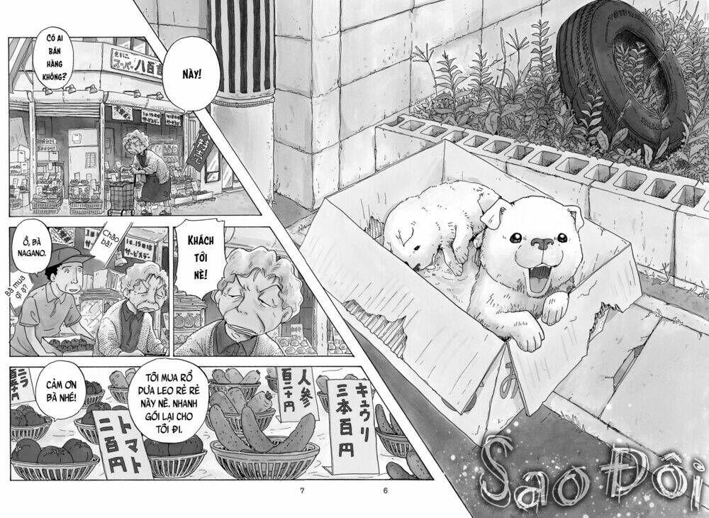 page_7.jpg