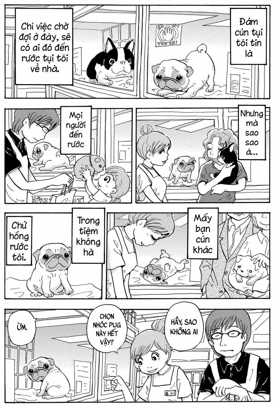 page_12.jpg