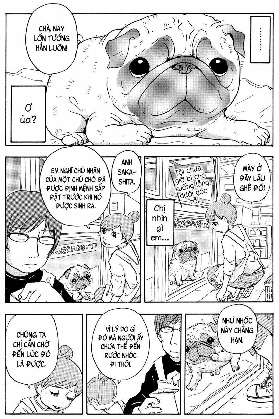 page_16.jpg