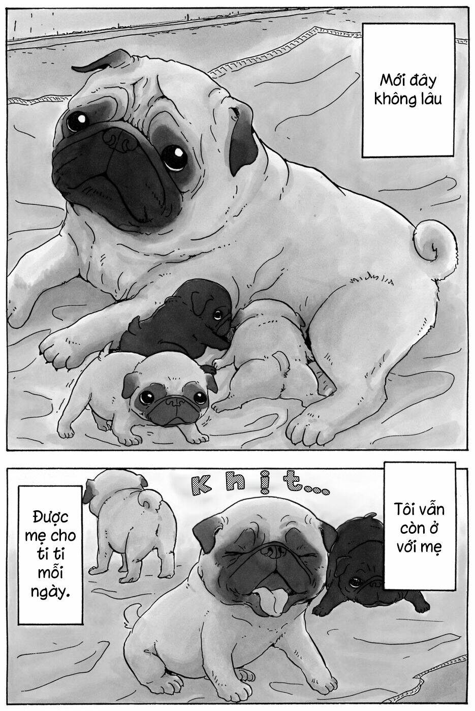page_6.jpg