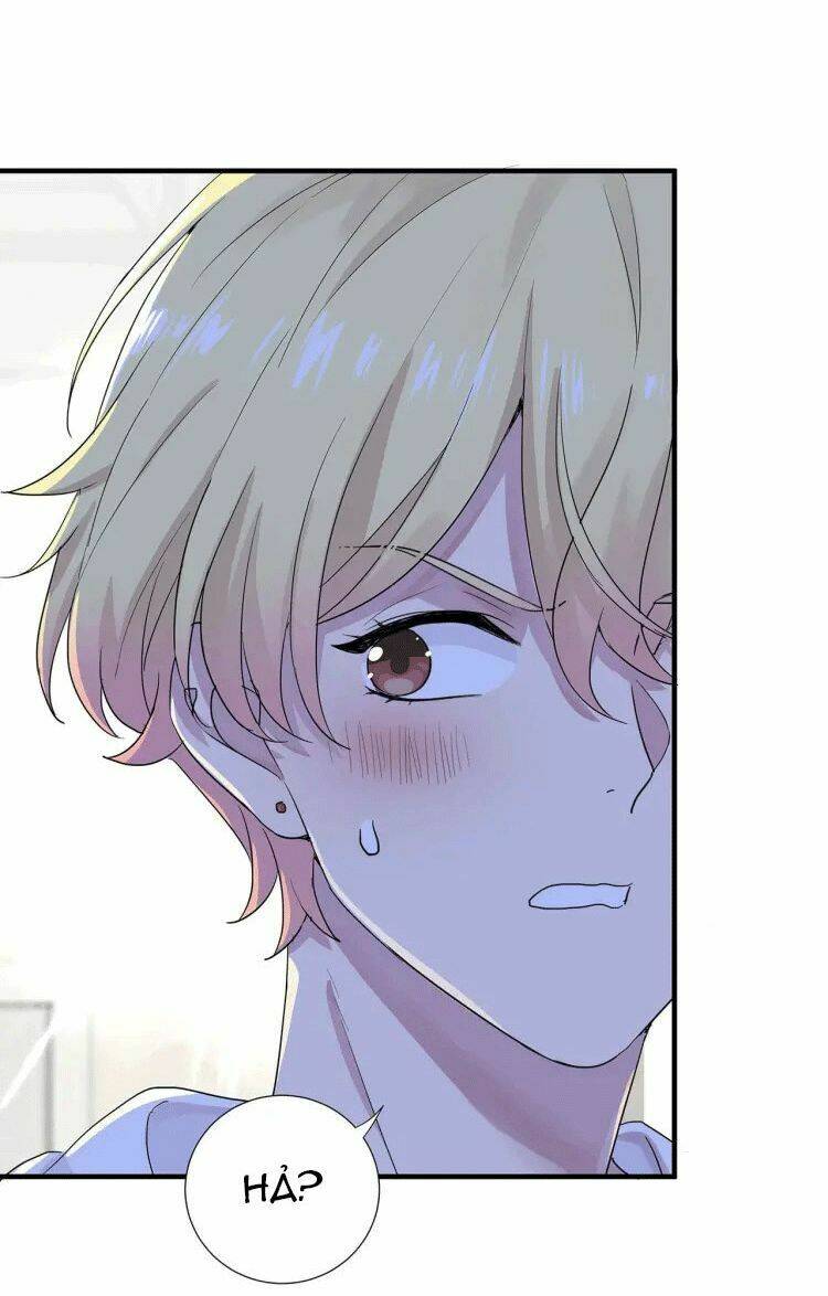 page_14.jpg