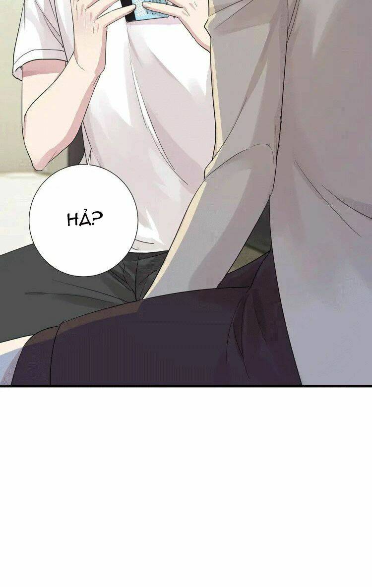 page_33.jpg