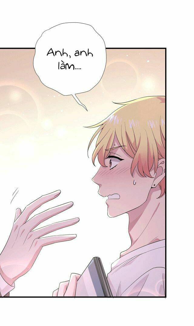 page_19.jpg
