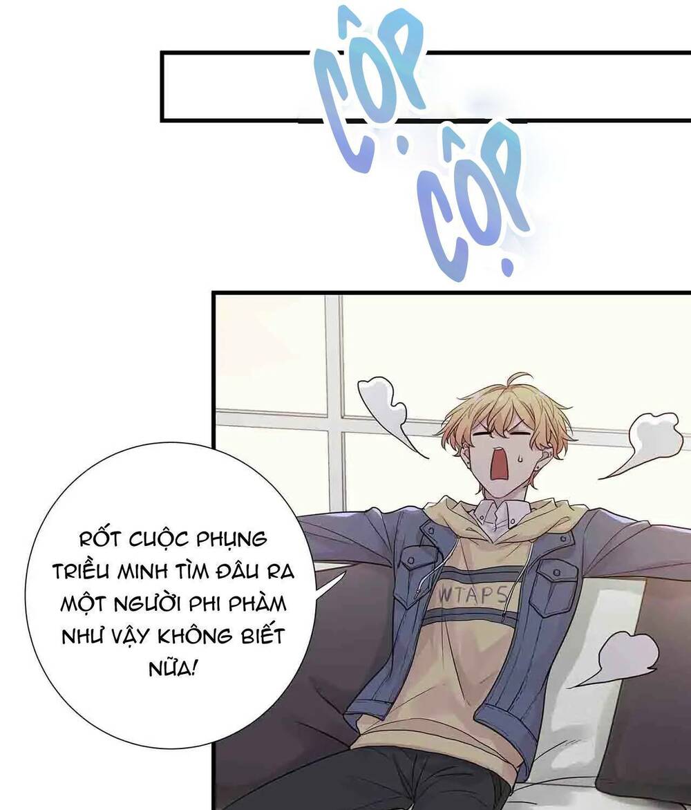 page_20.jpg