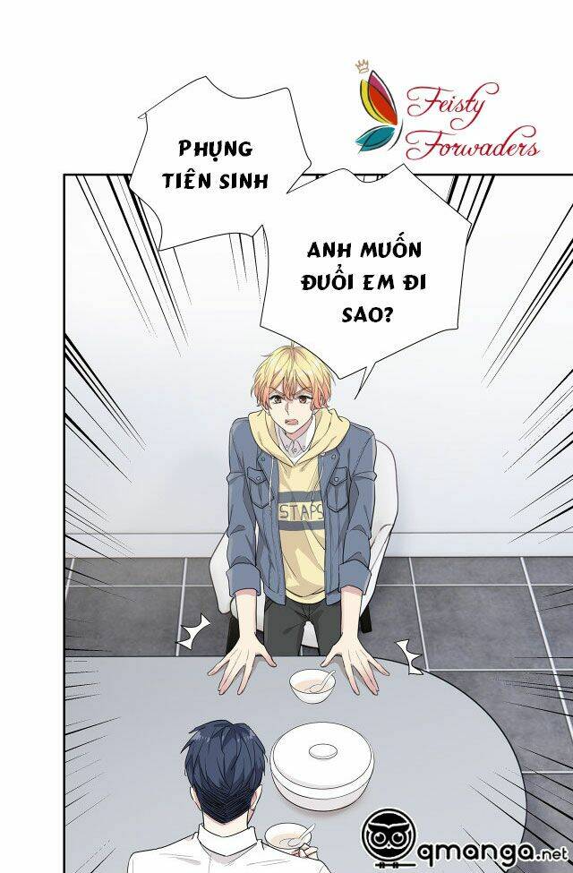 page_19.jpg