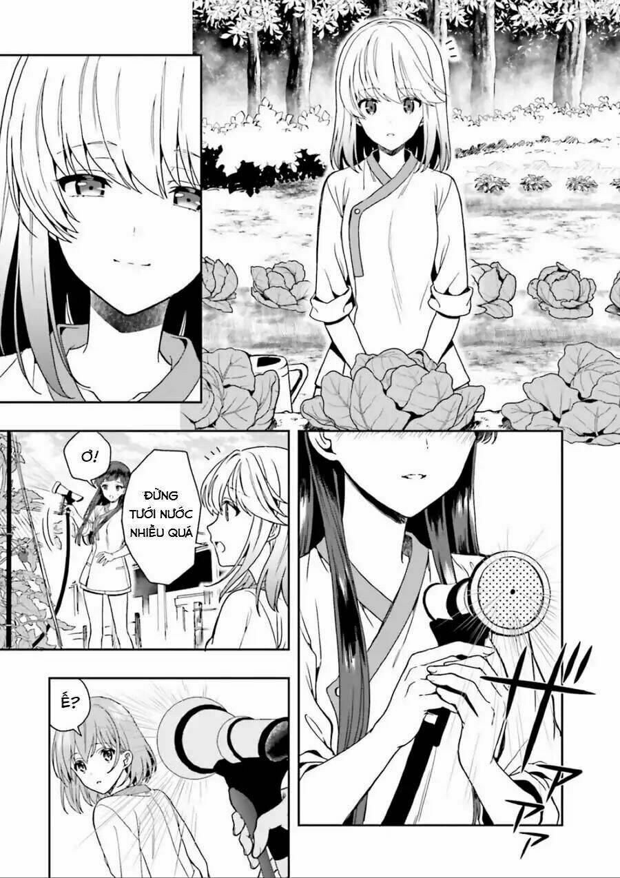 page_19.jpg